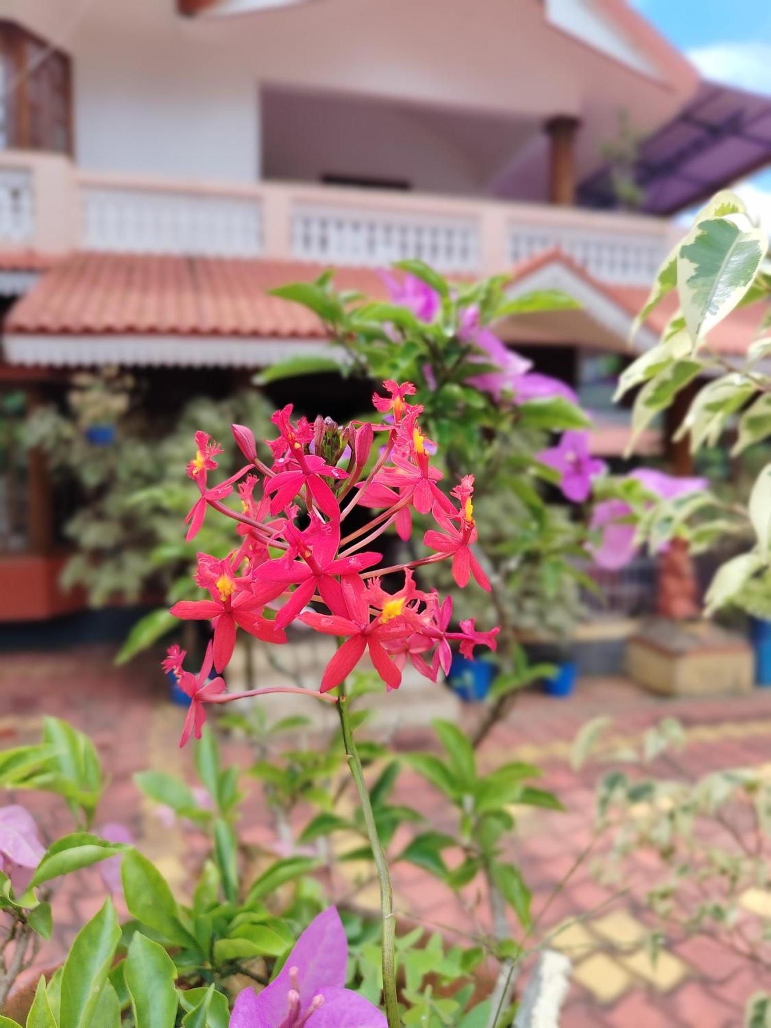 Shivalaya Homestay, Madikeri Siddāpur Dış mekan fotoğraf
