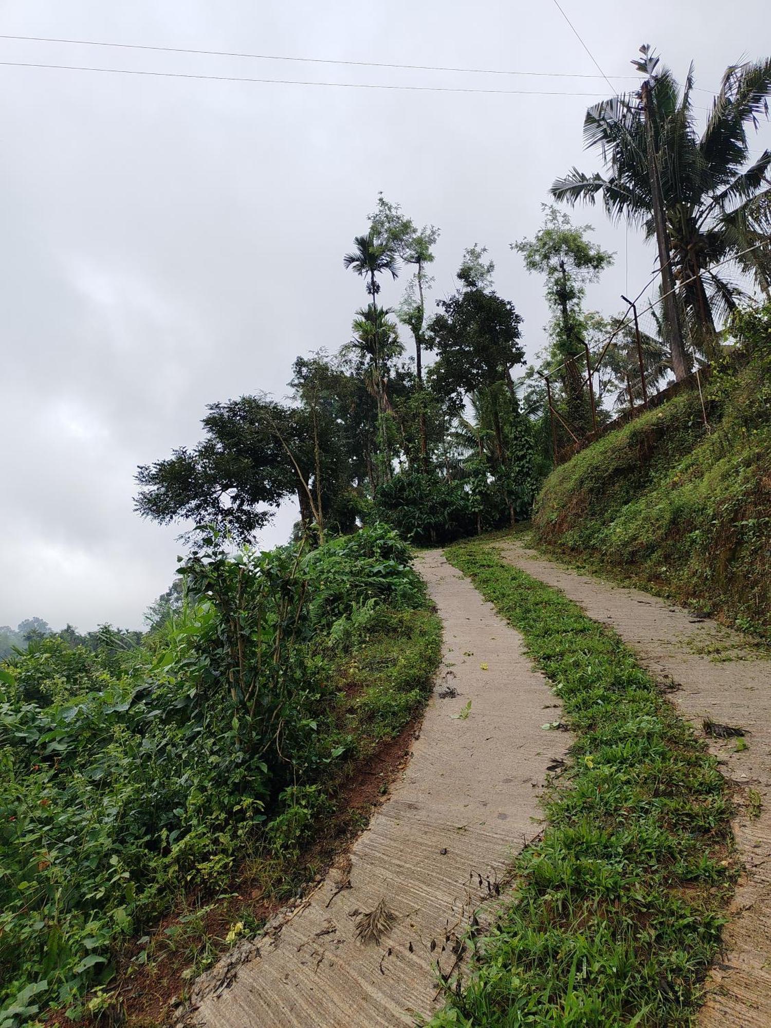 Shivalaya Homestay, Madikeri Siddāpur Dış mekan fotoğraf