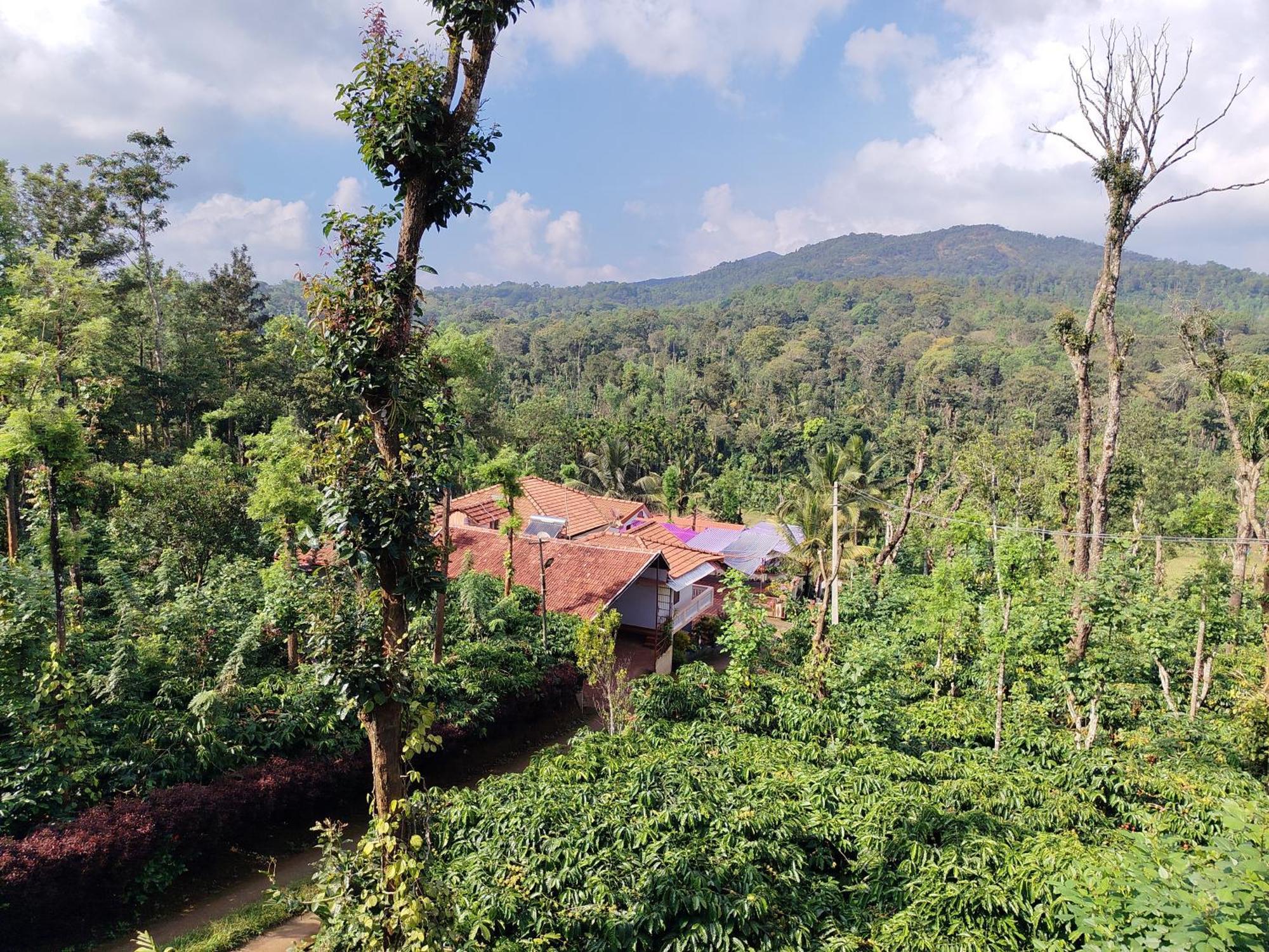 Shivalaya Homestay, Madikeri Siddāpur Dış mekan fotoğraf